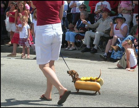 Clicca sull'immagine per ingrandirla

Nome:   HotDoggy...jpg
Visite: 1719
Dimensione:   77.4 KB
ID: 4291