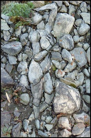 Clicca sull'immagine per ingrandirla

Nome:   Rock_20Art_20Rotskunst.jpg
Visite: 1034
Dimensione:   132.3 KB
ID: 4298