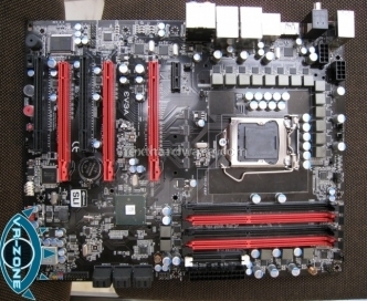 EVGA mostra le sue mainboard  P55 e una single-PCB GTX 295 [Computex 09]  2