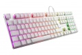 Le nuove tastiere sono disponibili in versione standard e TKL con switch Kailh Choc Red o Blue.