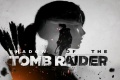 Pronti per il download i nuovi driver ottimizzati per Shadow of the Tomb Raider.