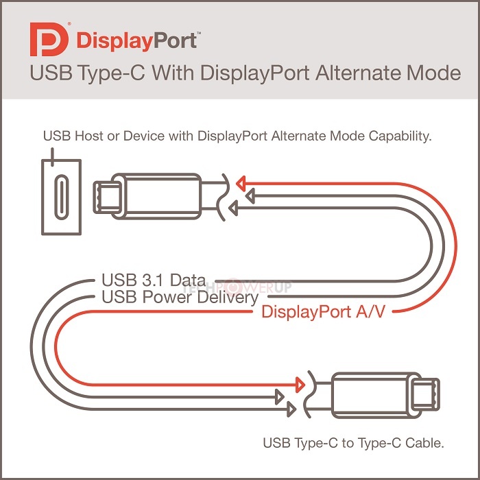 VESA porta il DisplayPort sull'USB Type-C  2