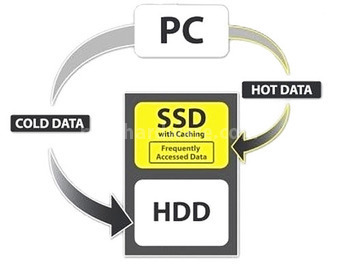 OCZ Synapse Cache SSD 64GB 1. Perché una cache? 1